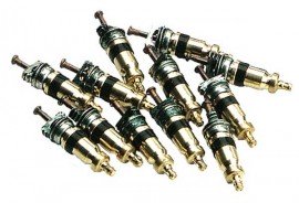 avs125 valve cores (25 pk)